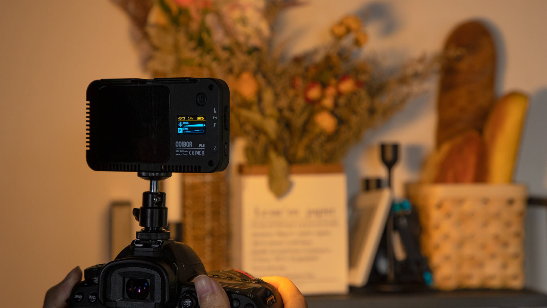Guide to video camera light for content creators